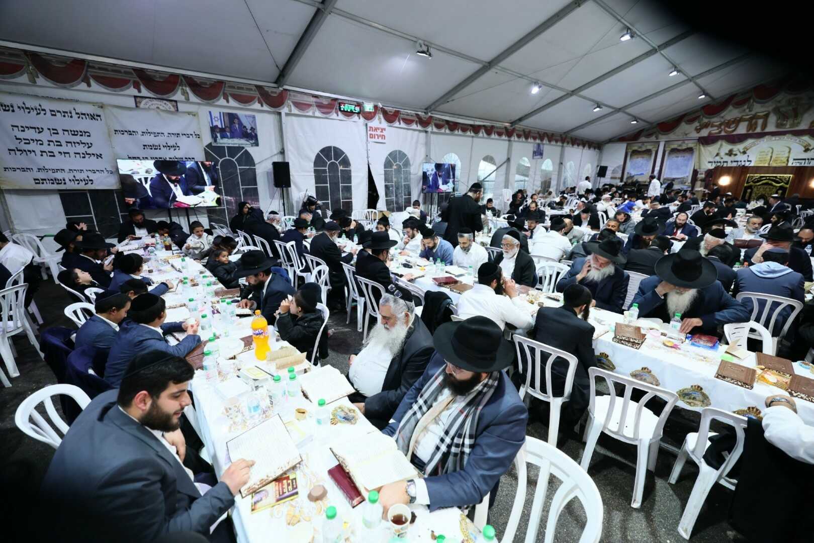 גלריית מירון 25